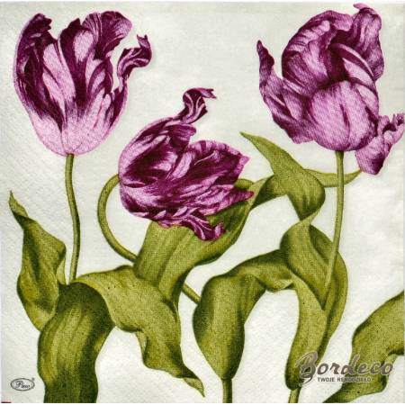 Serwetka do decoupage tulipany fioletowe 33x33 PAW